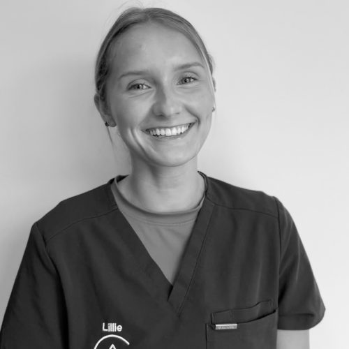 Team - Gibside Dental